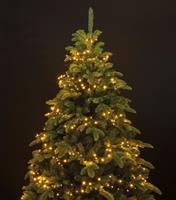 Lumineo 1-2 GLOW Lichterkette Weihnachtsbaum 240cm Warmweiß 880 LED Timer Schnellmontage