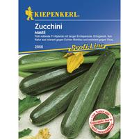 KIEPENKERL Zucchini Mastil grün resistent