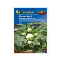 Blumenkohl Multi Head PMHC927075