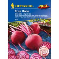 KIEPENKERL Rote Rübe Chioggia