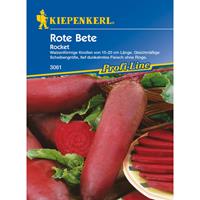 KIEPENKERL Rote Beete Rocket - Gemüsesamen - 