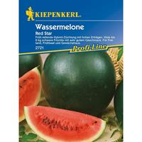 KIEPENKERL Wassermelone Red Star F1 | Wassermelonensamen von - 