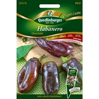 QUEDLINBURGERSAATGUT Chili Habanero Chocolate | Chilisamen von Quedlinburger