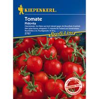 KIEPENKERL Tomaten Cherrytomate Philovita F1 braunfäuletolerant