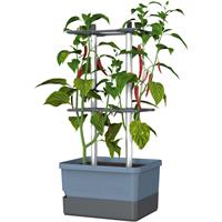 Gusta Garden - Charly Chili - Chiliplanten - Chiliplanter met watertank - Kweekbox - Kweektafel - Blauw