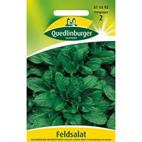 QUEDLINBURGERSAATGUT Feldsalat Holländischer breitblättriger | Gemüsesamen von Quedlinburger