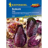 KIEPENKERL Rotkohl Tinty F1