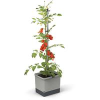 Gusta Garden - Tom Tomato - Tomaten Planten - Tomaten Plantenbak met Watertank - Kweekbak - Kweektafel - Lichgrijs