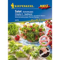 KIEPENKERL Salat Crispita II (Schnittsalat) Saatband resistent