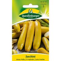 QUEDLINBURGERSAATGUT Zucchini Atena Polka F1-Hybride | Zucchinisamen von Quedlinburger