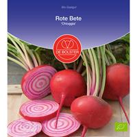 DEBOLSTER Rote Beete Chioggia | BIO Rote Beetesamen von De Bolster