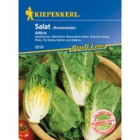 KIEPENKERL Salat Attico - Gemüsesamen - 