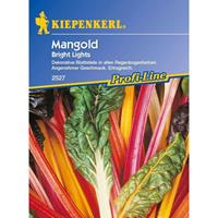 KIEPENKERL Mangold Bright Lights bunt
