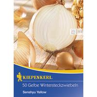KIEPENKERLWINTERSTECKZWIEBELN Wintersteckzwiebel Senshyu Yellow (50 Stück) | Wintersteckzwiebeln von Kiepenkerl
