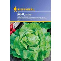KIEPENKERL Salat Kopfsalat Kagraner Sommer 3