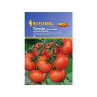 KIEPENKERL Tomate Buschtomate Hoffmanns Rentita