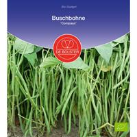 DEBOLSTER Buschbohne Compass | BIO Buschbohnensamen von De Bolster