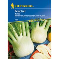 KIEPENKERL Fenchel Rondo - Gemüsesamen - 