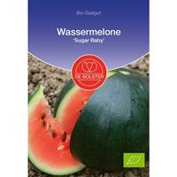 DEBOLSTER Wassermelone Sugar Baby | BIO Wassermelonensamen von De Bolster