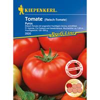 KIEPENKERL Tomate (Fleischtomate) Pyros F1, angenehm fruchtiges Aroma, schnittfeste F1 Hybride tolerant gegen Kraut- und Braunfäule, auch für Freiland geeignet