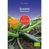 DEBOLSTER Zucchini Black Beauty | BIO Zucchinisamen von De Bolster