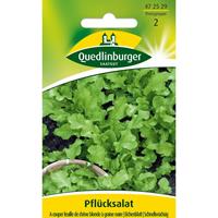 QUEDLINBURGERSAATGUT Salatsamen - Salat A couper feuille de chên | Salatsamen von Quedlinburger
