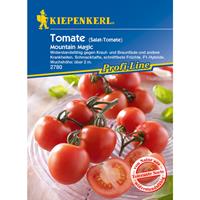 KIEPENKERL Tomate Salattomate Mountain Magic
