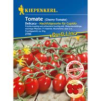 KIEPENKERL Tomate Cherrytomate Delicacy