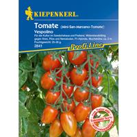 KIEPENKERL Tomate Pflaumen-Tomate Vespolino