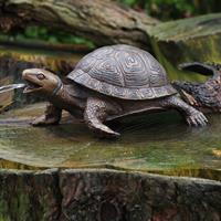 Gartentraum.de Schildkröte Figur aus Bronze als Wasserspeier - Gisella