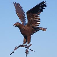 Gartentraum.de Edelrost Design Gartenfigur Steinadler - Adelaar / Stahl - Rost