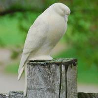 Gartentraum.de Kleine Steinfigur mit Taube - Julia / Sand