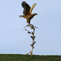 Gartentraum.de Steinadler am großen Ast - XXL Gartenfigur aus Metall - Aquila Aurea / Stahl - Rost