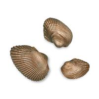 Gartentraum.de Muschel 2er Set aus Bronze oder Alu - Variationen - Muscheln / 2x3cm (HxBxT) / Aluminium dunkelgrau