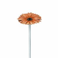 Gartentraum.de Farbige Bronzeblume für den Garten mit Stiel - Gerbera / Orange / 30