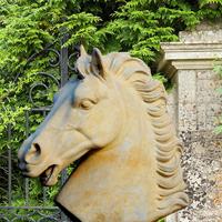 Gartentraum.de Pferde Büste Gartenfigur - Cavallo  / Portland weiß