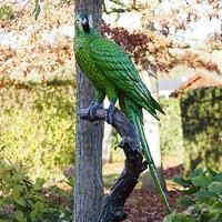 Gartentraum.de Grüner Ara auf Ast aus Bronze als Gartenskulptur - Papagei Tommi