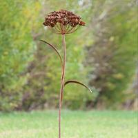 Gartentraum.de Einzigartige Gartenskulptur Eisen Blume - Flos Ferrum
