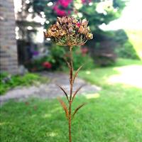 Gartentraum.de Einzigartige Metallfigur - Blume als Gartendeko - Flos Ferrum