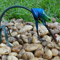 Gartentraum.de Bronze Froschskulptur mit Schilf und rotem Käfer - Blauer Frosch mit Käfer