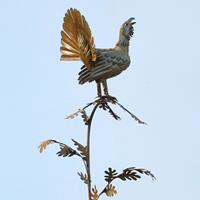 Gartentraum.de Auerhahn auf Ast - Gartenfigur aus Rost Stahl/Edelstahl - Galliformes / Stahl - Rost