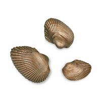 Gartentraum.de Muschel 2er Set aus Bronze oder Alu - Variationen - Muscheln / 4x5cm (HxBxT) / Aluminium schwarz