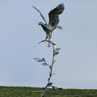 Gartentraum.de Steinadler am großen Ast - XXL Gartenfigur aus Metall - Aquila Aurea / Edelstahl