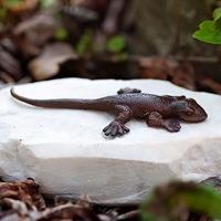 Gartentraum.de Kleine Salamander Gartenfigur aus Bronzeguss auf Stein - Salamander Lio