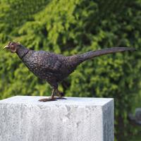 Gartentraum.de Lebensgroßer Fasan läuft - Vogelskulptur aus Bronze für den Garten - Fasan Thean