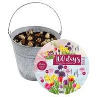 Baltus Bloembollen Baltus Giftbox Bucket Flower Emmer met bloembollen per 25 stuks