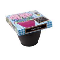 Baltus Bloembollen Baltus Giftbox Pink Patio bloembollen per 25 stuks