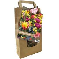 Baltus Bloembollen Baltus Giftbox Urban Flower Lovers Perfect Match bloembollen per 50 stuks
