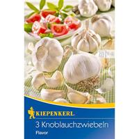 KIEPENKERL Knoblauchzwiebeln, Flavor (weiß), Inhalt: 3 Stück