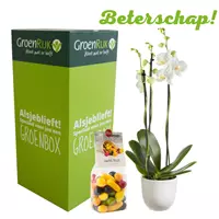 GroenRijk Cadeau Box Kamerplant Beterschap - Witte Orchidee